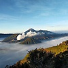 sri_87730