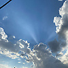 asma_65554