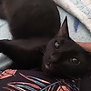 jujuh_73073