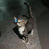 user_164985