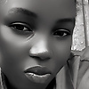among_97796