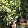alya_34383