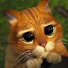 Nour-123