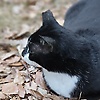 alex_26307