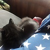 tim_23609
