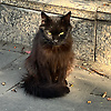 eddie_59278