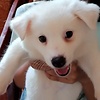 Rhie_06
