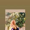 sunshine_21277