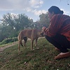 hanan_sami