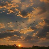 moeabir_58875