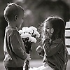 aly_56065