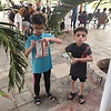 58246haib