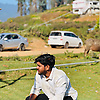ameen_80206