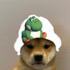 jao_21