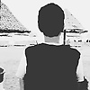 maxpaker_78205