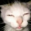 Ldrrlsp