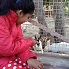 ayo_arya