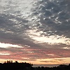 ranokdutta_15993