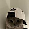 user_56828