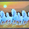 wamanaca_59702