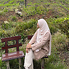 nur_31895