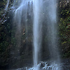 Tanikan