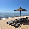 mostafa_32071