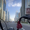 shahal_79927