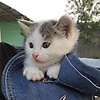 nuray_49437