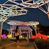 Daisy_08