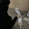 adila_67136