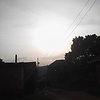 daniella_46005