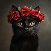 user_481356