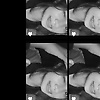 celsiana_83324