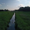 lubietosty