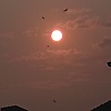 ahmedaj_82663