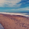 Said_Bouma
