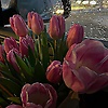 nazamir_31240