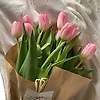 humm_56904