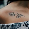 A_4Nita