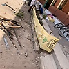 ebrima_52788