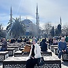 tiara_29796