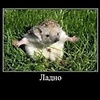 Ghost_Ezitso