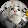 roksana_66863
