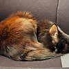 audrey_63278