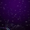 safiya_58249