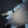 elsaa_78262