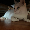 farida_56566