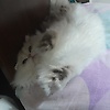 yusuf_66861