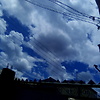 morgan_80913